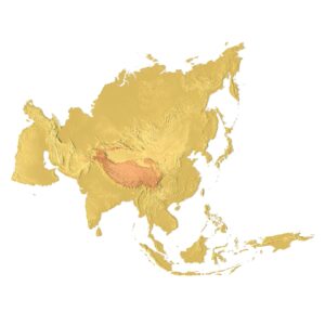 Asia 3D Print Model – Equidistant Conic Projection, Topographic Relief Map for 3D Printing & CNC