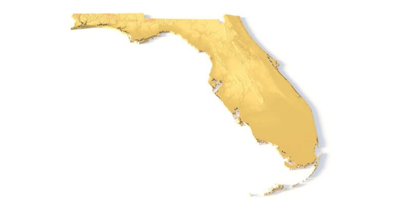 Detailed relief of Florida terrain STL model