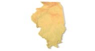 Detailed relief of Illinois terrain STL model