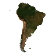 3D model of South America with mesh and satellite texture, front view