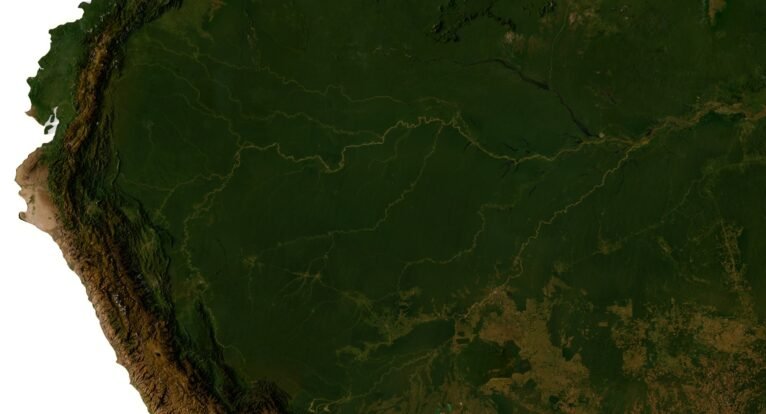 South America 3D model in OBJ and C4D for visualization
