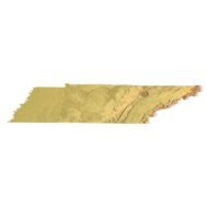 State of Tennessee relief map