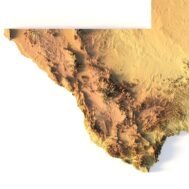 State of Texas buy 3d models