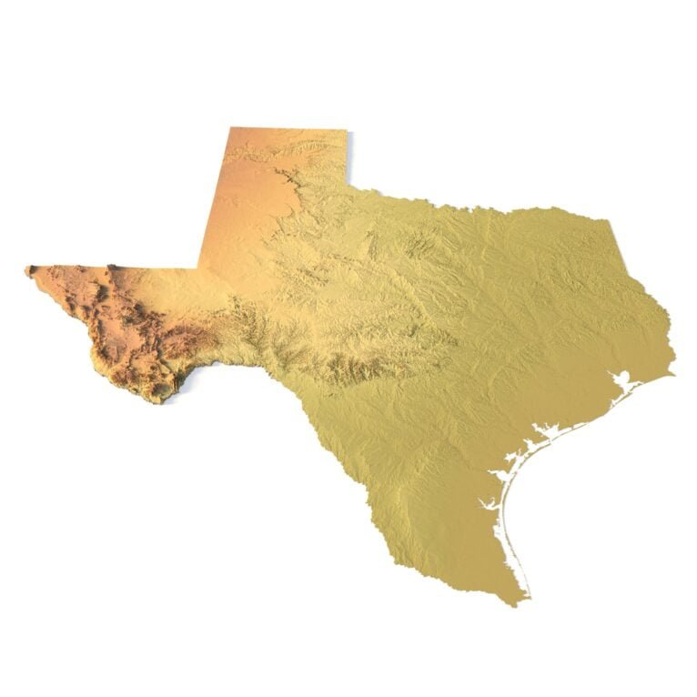 State of Texas relief map