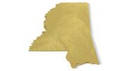 Detailed relief of Mississippi terrain STL model