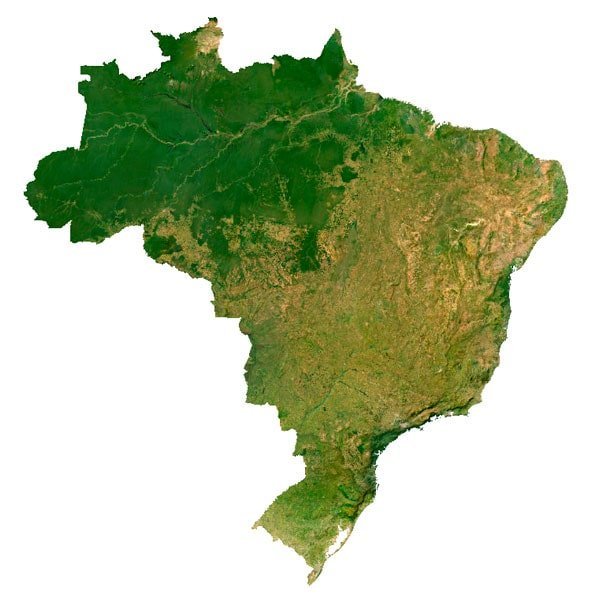 Brazil Texture