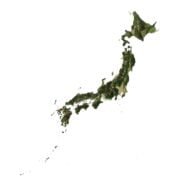 Buy 3D models of Japan's terrain