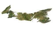 Satellite textures of Prince Edward Island