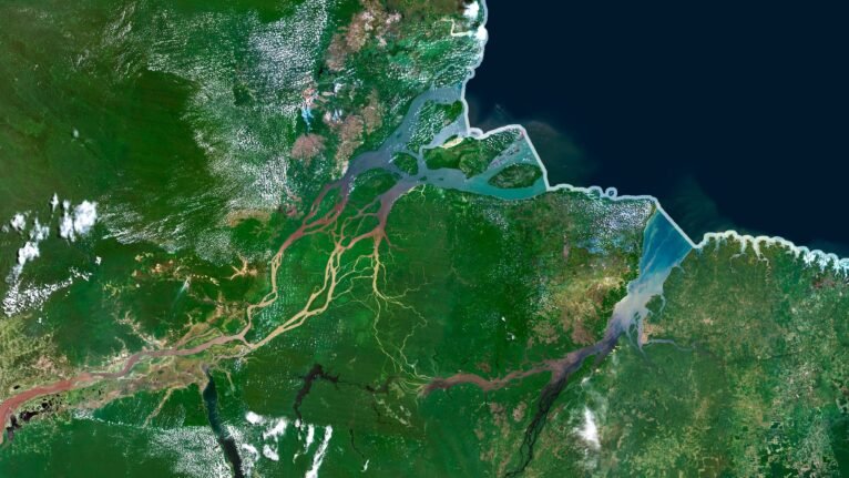 Satellite view of Brazil highlighting the Amazon rainforest and coastal regions.