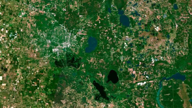 Detailed florida satellite view used for educational purposes, showcasing diverse terrains and water bodies.