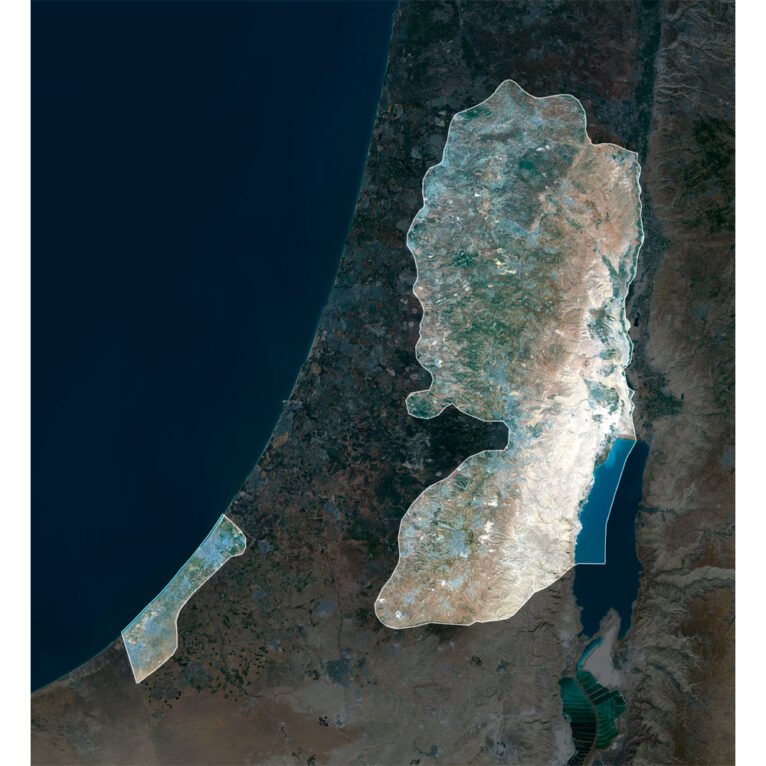 High-resolution Palestine satellite map displaying detailed topography.