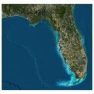 A high-resolution top-down view of the Florida State 3D Terrain Map, showcasing the detailed coastal lines and varied terrain.