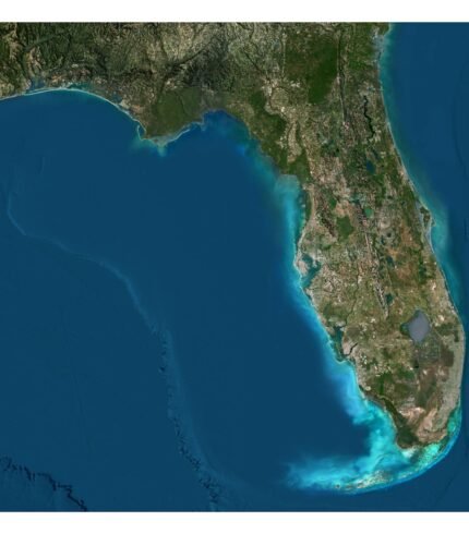 A high-resolution top-down view of the Florida State 3D Terrain Map, showcasing the detailed coastal lines and varied terrain.