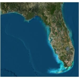 A digital render of the Florida State Terrain Map available for download in OBJ format, highlighting the realistic elevation and land features.