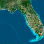 Florida State Rendering Fee