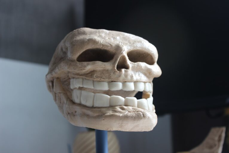 A fully assembled 3D-printed Troll Face with removable teeth and bones, ready for painting.