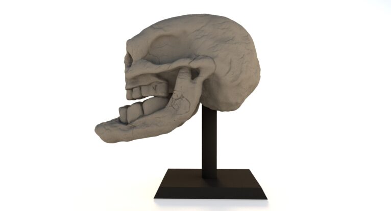 Trollface 3D print model side angle with anatomical skull detail