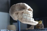 Exploded view of a Troll Face 3D model showing separate teeth, jawbone, and skull parts for easy printing