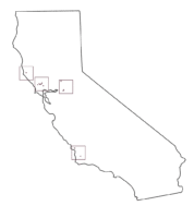 Prepayment for Renders